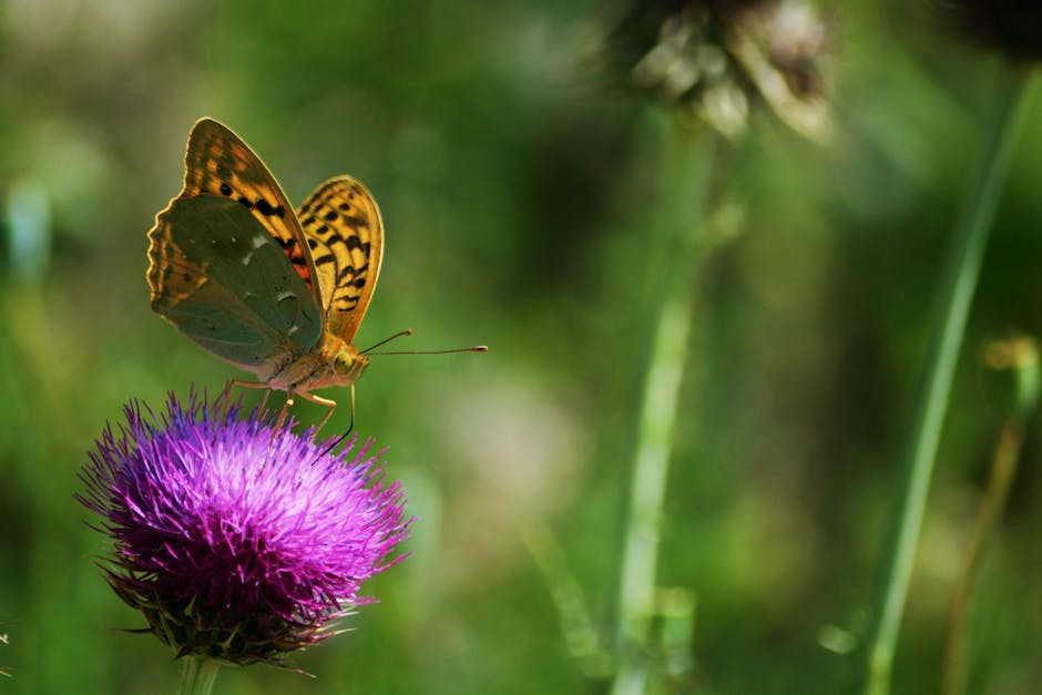 Kemirgenler İçin Dengeli Beslenme Planı: Türlere Göre Gıdalar
