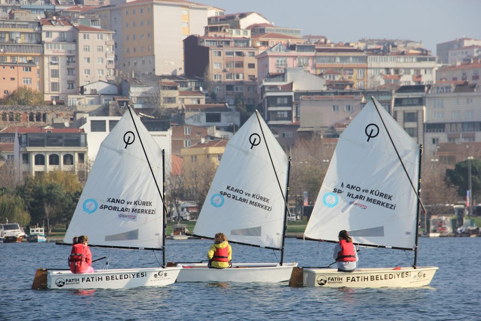 evcil hayvanlar akvaryum balıkları: kuşlar için güvenli etkileşim