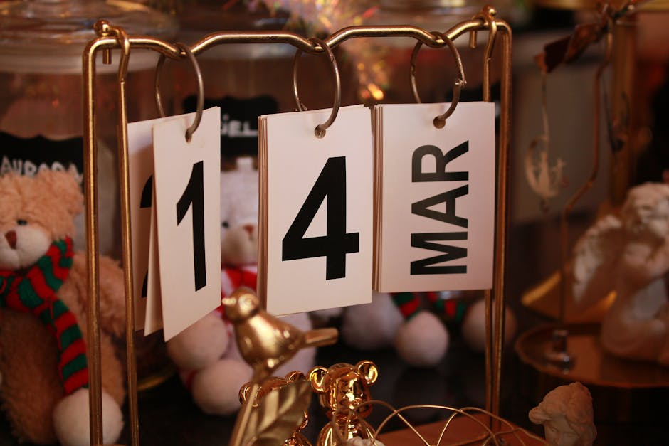 Evcil Hayvanlar Akvaryum Entegrasyonu: 14 Günlük Gözlem Planı