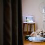 Evcil Hayvanlar Akvaryum: Kediler ve Köpekler İçin Uyumlu Tasarım