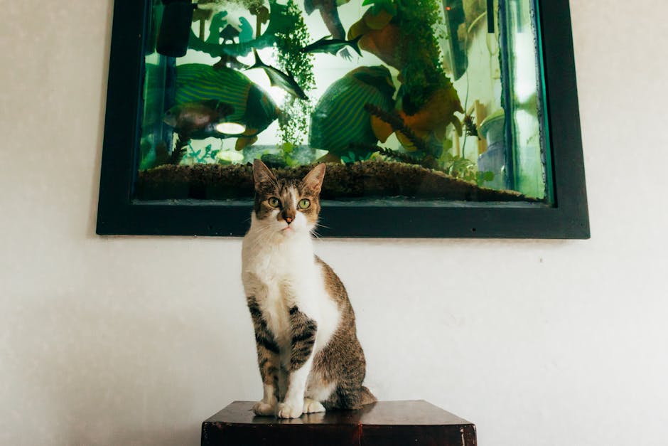 Kedi, akvaryum bitkileri ve güvenli sığınaklar arasında dikkatli bir görüntü