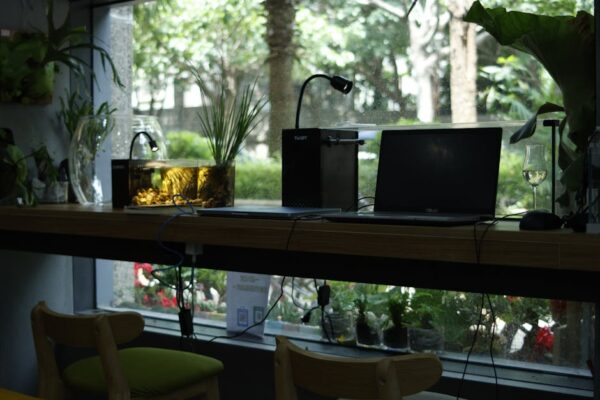 Kediler ve Köpekler İçin Akvaryum Güvenli Ev Tasarımı