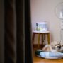 Kediler ve Köpekler İçin Enerji Verimli ve Güvenli Akvaryum Kurulumu