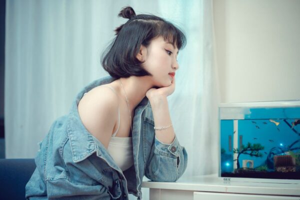 evcil hayvanlar gözlem için kolay akvaryum balıkları güvenli Şablon